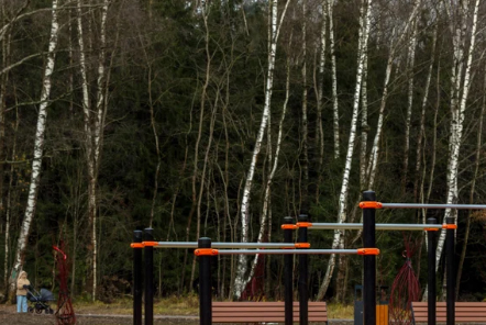 В окружении лесов